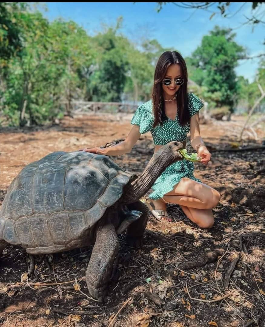 Prison Island Boat Trip